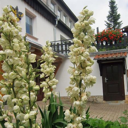 Ferienhaus Haus Am Wald Stolberg i. Harz Extérieur photo
