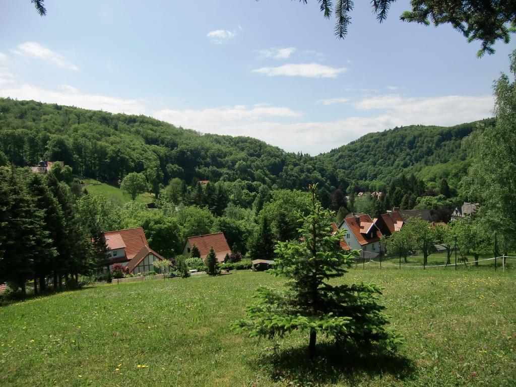 Ferienhaus Haus Am Wald Stolberg i. Harz Extérieur photo