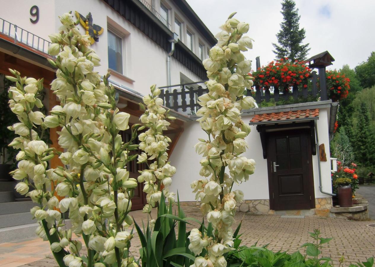 Ferienhaus Haus Am Wald Stolberg i. Harz Extérieur photo