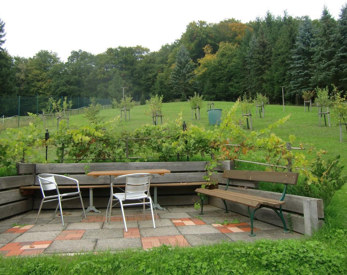 Ferienhaus Haus Am Wald Stolberg i. Harz Extérieur photo