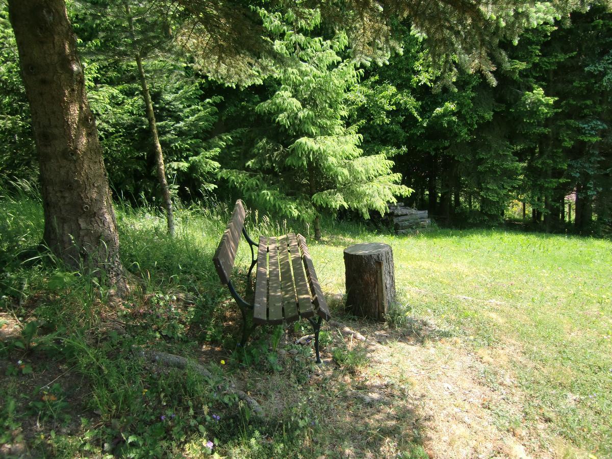 Ferienhaus Haus Am Wald Stolberg i. Harz Extérieur photo